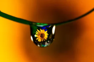 फोटोग्राफी म्हणजे काय? महत्व, प्रकार,उपयोग| What is photography?