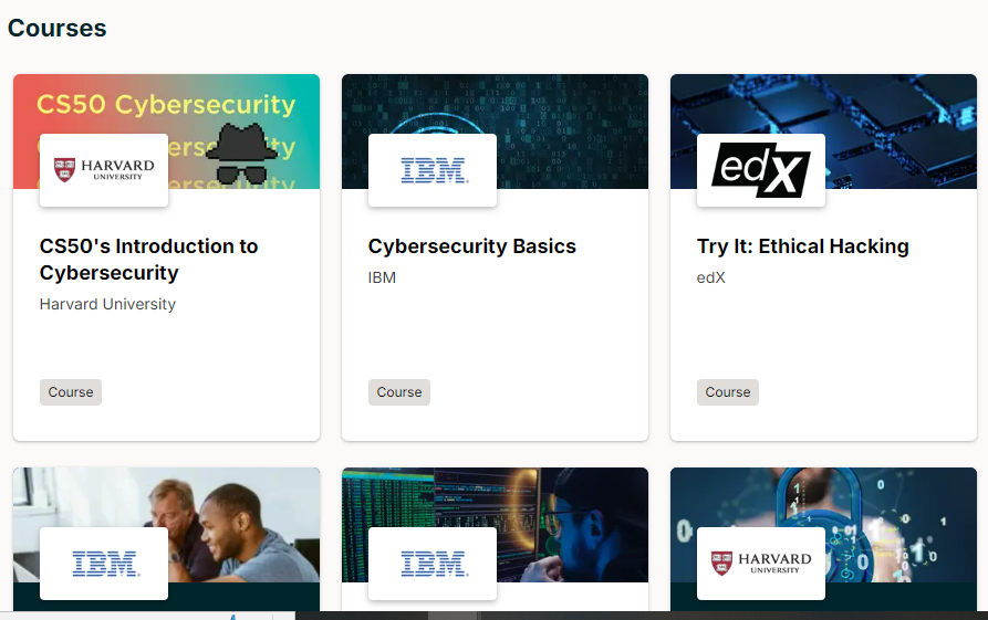 Ethical Hacking: इंटरनेटवरील लोकांचा हिरो| आजच्या जगातील महत्त्वाचे करिअर| What is Ethical Hacking in Marathi
